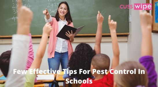 Few Effective Tips For Pest Control In Schools