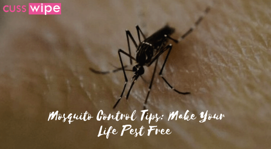 Mosquito Control Tips