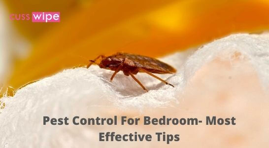 Pest Control For Bedroom- Most Effective Tips