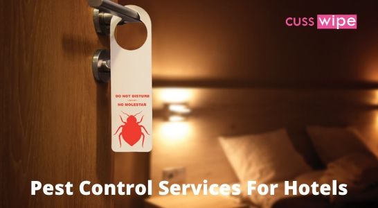 Pest Control Services For Hotels