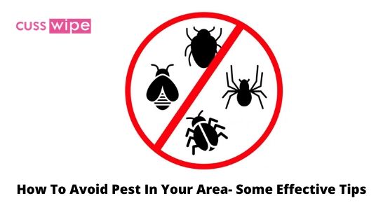 How To Avoid Pest In Your Area- Some Effective Tips