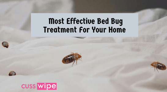 Most Effective Bed Bug Treatment For Your Home
